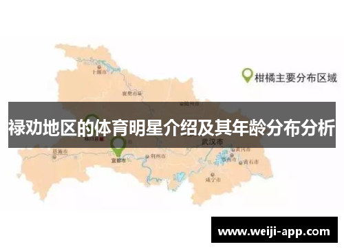 禄劝地区的体育明星介绍及其年龄分布分析